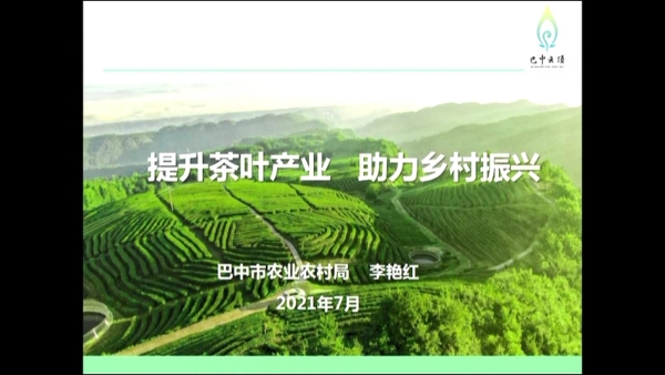 提升茶叶产业 助力乡村振兴